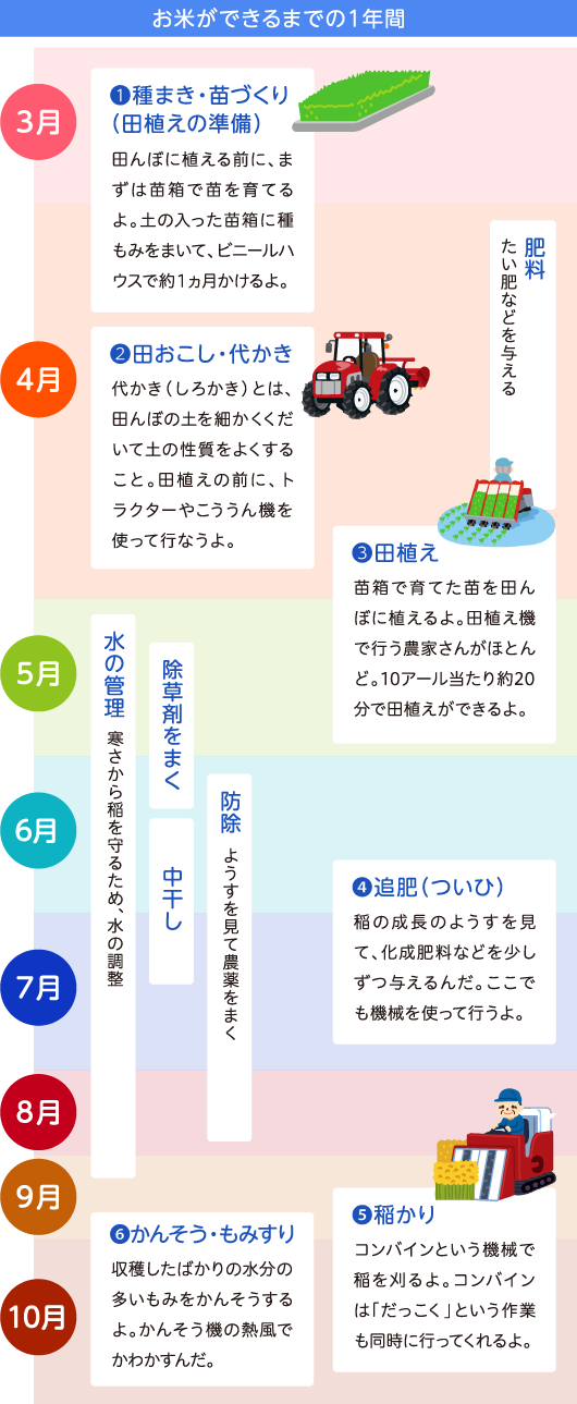 お米ができるまでの1年間