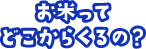 お米ってどこからくるの？