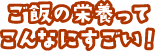 ご飯の栄養ってこんなにすごい！